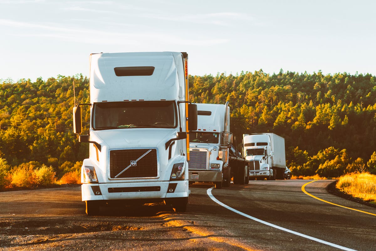 P&S EXPORT CARGO LLC